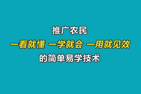 引導農民合理施肥用藥,推廣一看就懂、一學就會、一用就見效的技術